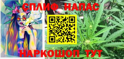 мяу мяу мука Будённовск