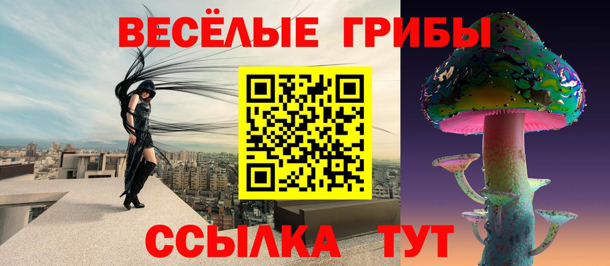 Псилоцибиновые грибы мицелий Ликино-Дулёво