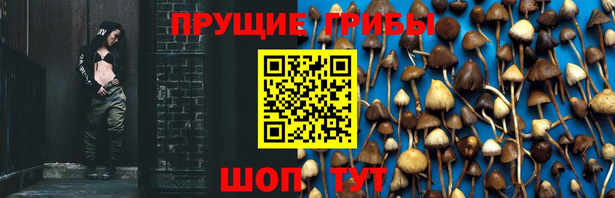 Ликино-Дулёво  Галлюциногенные грибы Psilocybe  Вход с VPN 